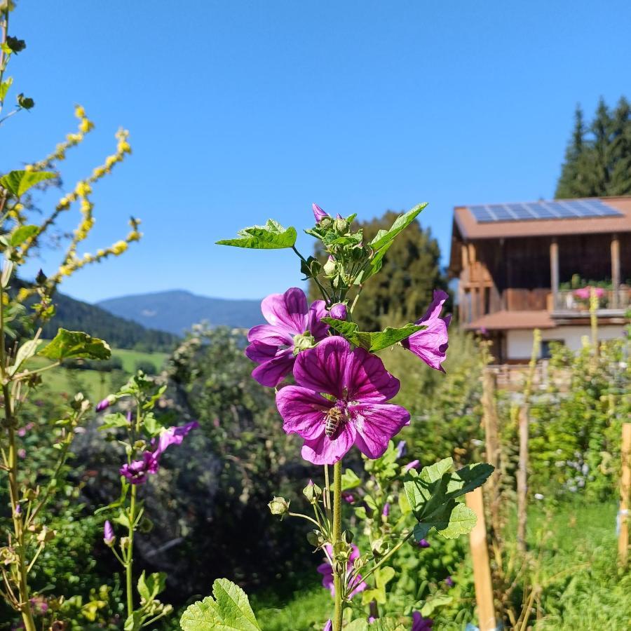 Tiny House Am Steinergut Hotel Радщат Екстериор снимка
