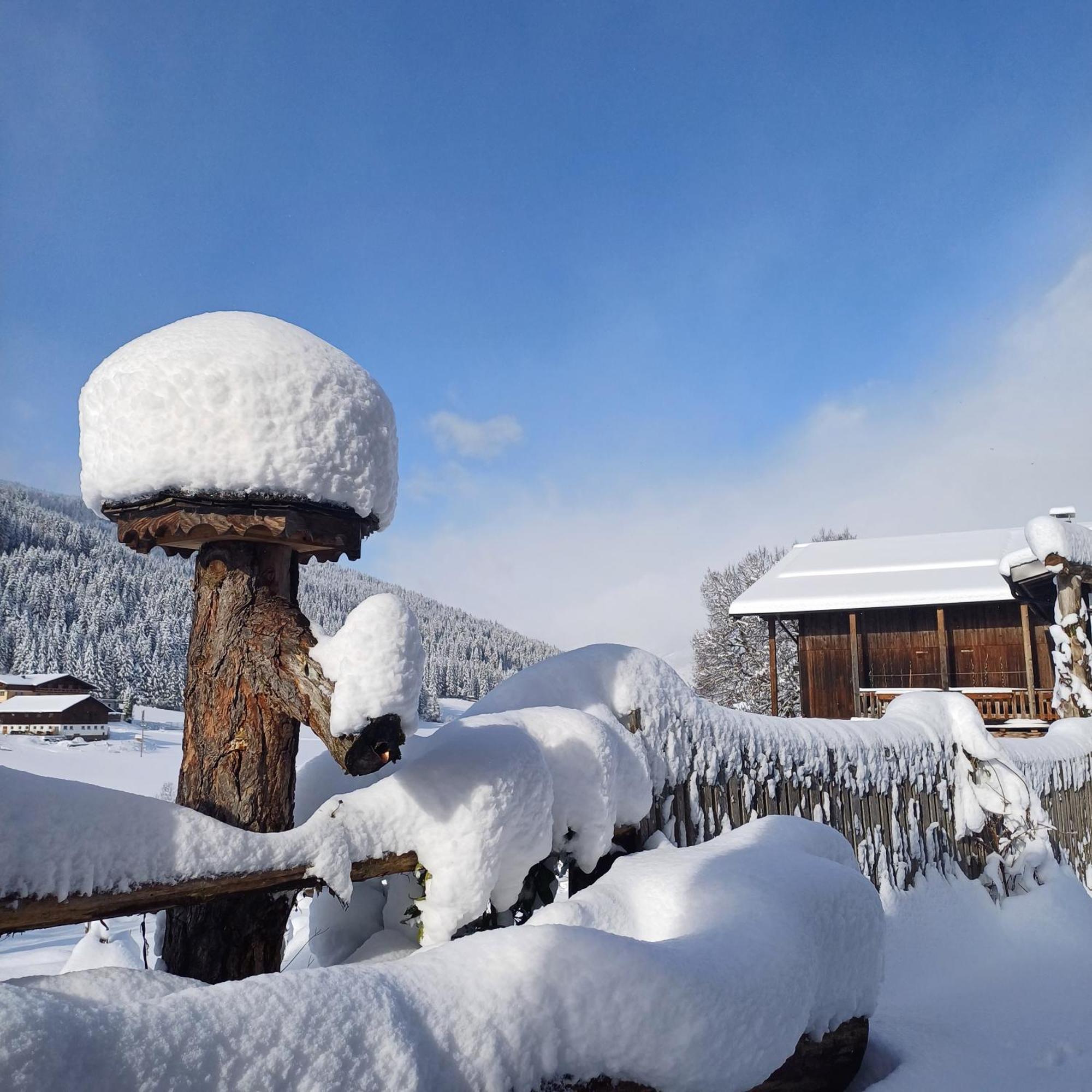 Tiny House Am Steinergut Hotel Радщат Екстериор снимка