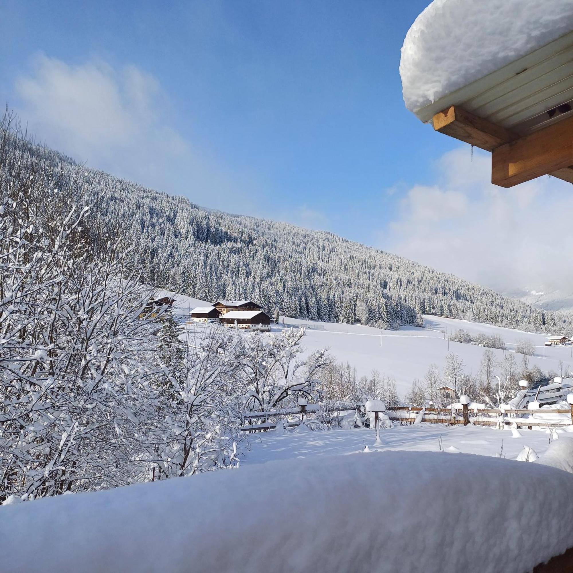 Tiny House Am Steinergut Hotel Радщат Екстериор снимка